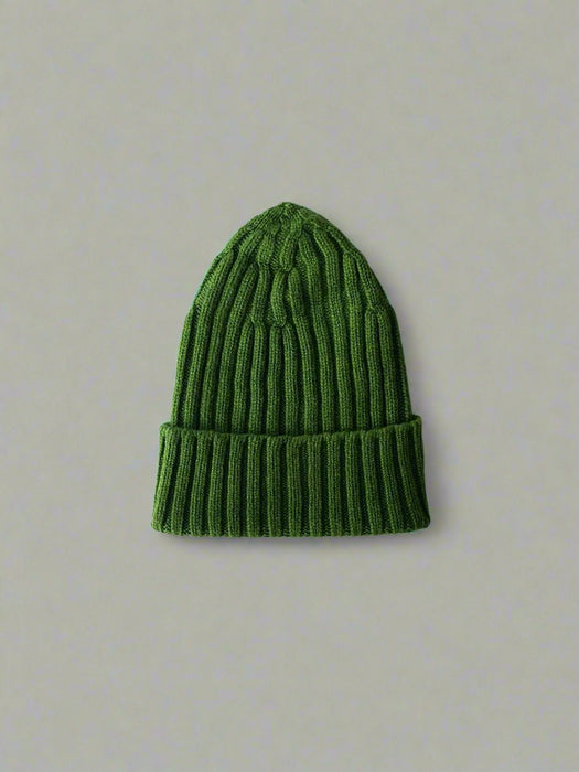 Array Ribbed Beanie in Watercress