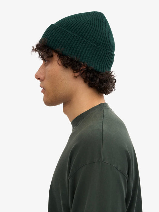 Colorful Standard Merino Beanie in Emerald Green