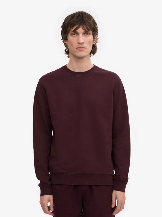 Colorful Standard Classic Crew Sweat in Oxblood Red
