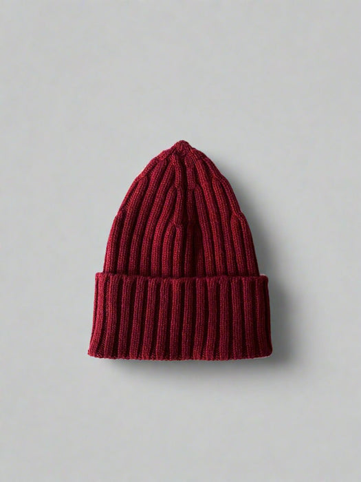 Array Ribbed Beanie in Rhubarb