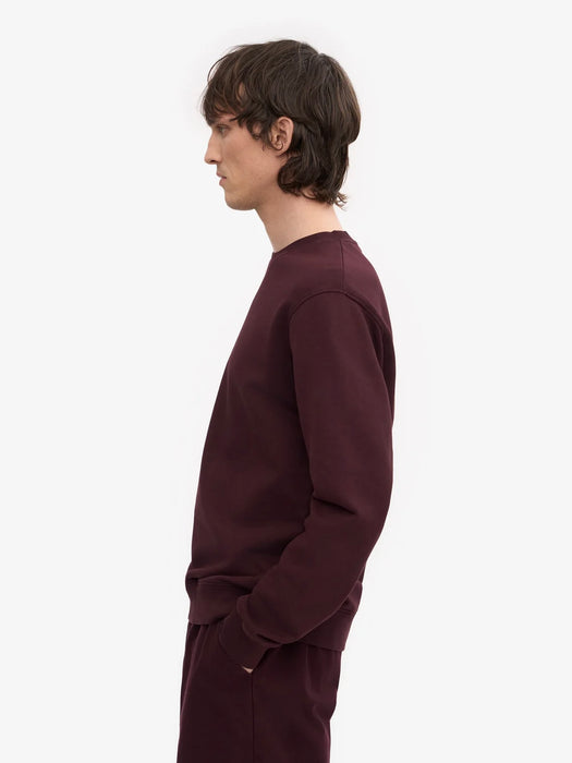 Colorful Standard Classic Crew Sweat in Oxblood Red