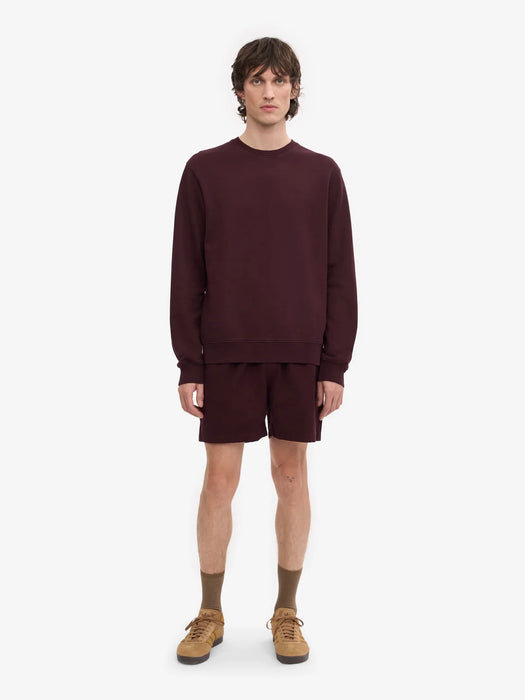 Colorful Standard Classic Crew Sweat in Oxblood Red
