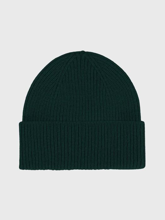 Colorful Standard Merino Beanie in Emerald Green
