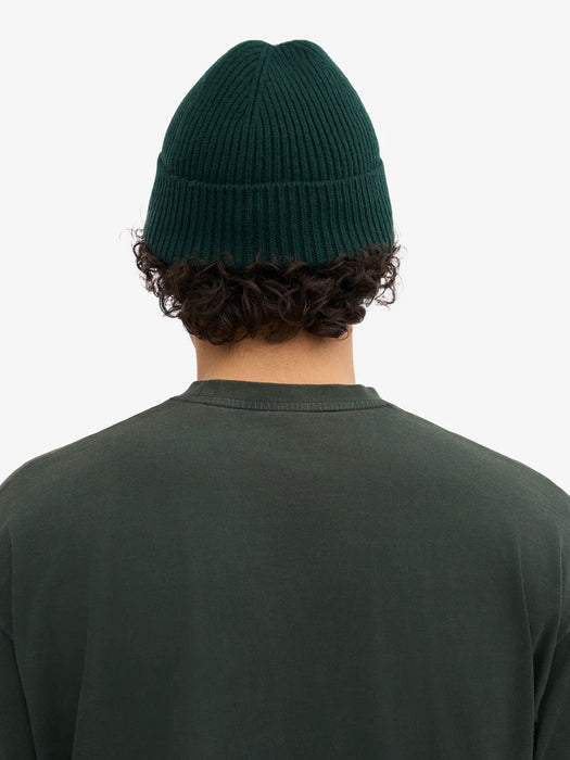 Colorful Standard Merino Beanie in Emerald Green