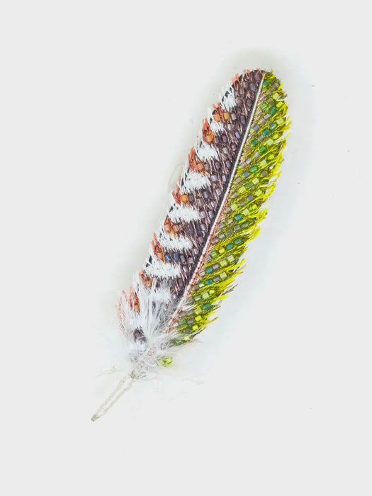 Trovelore Woodpecker Feather Brooch