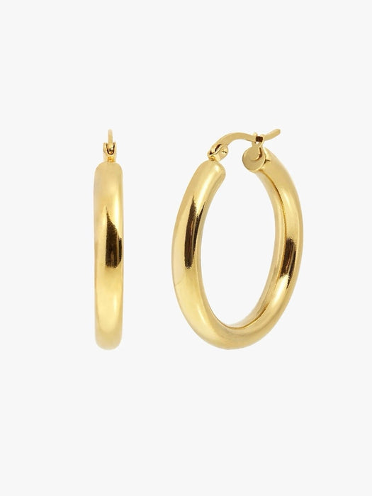 And Danu Fulmar Earrings in Gold