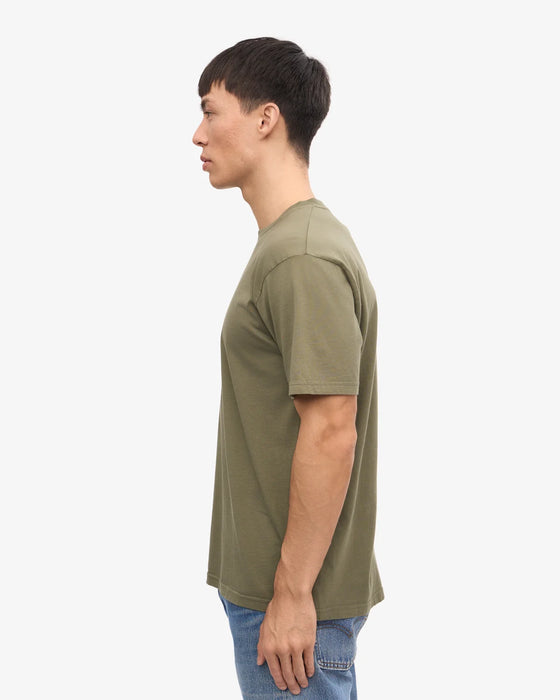 Colorful Standard Classic Organic T-shirt in Dusty Olive