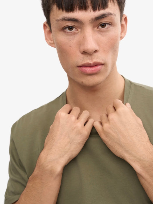 Colorful Standard Classic Organic T-shirt in Dusty Olive
