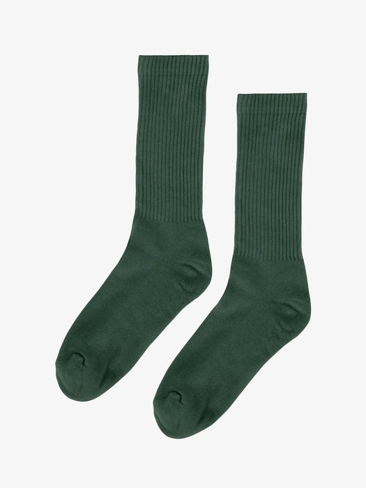 Colorful Standard Active Socks in Emerald Green