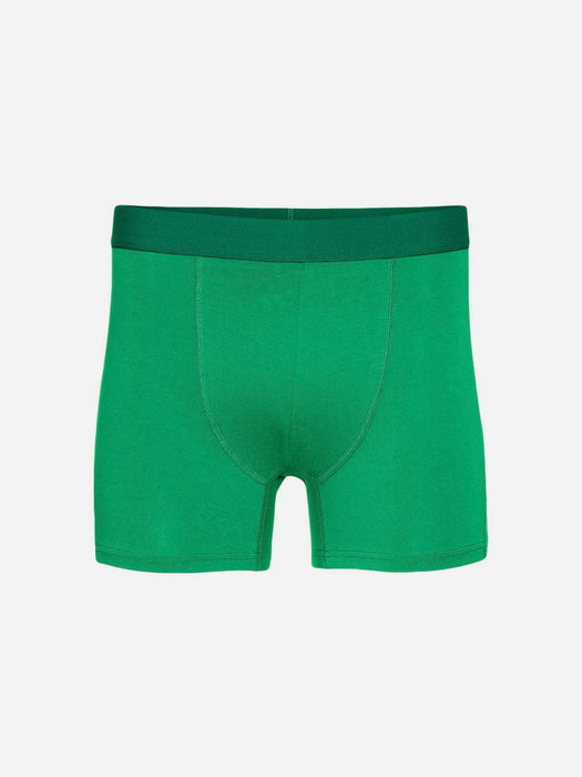 Colorful Standard Boxer Briefs in Kelly Green