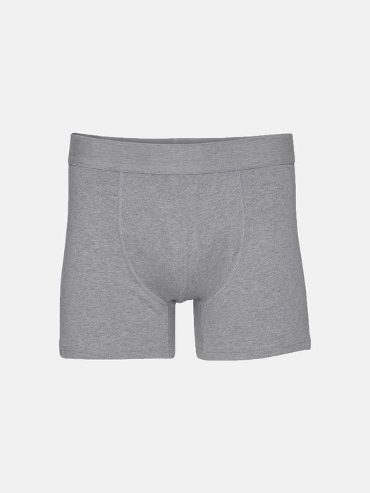 Colorful Standard Boxer Briefs in Heather Grey