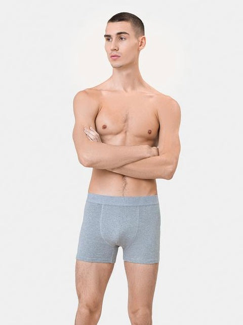 Colorful Standard Boxer Briefs in Heather Grey